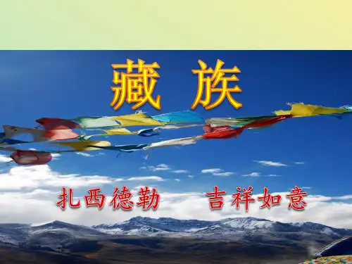 藏族文化简介详细