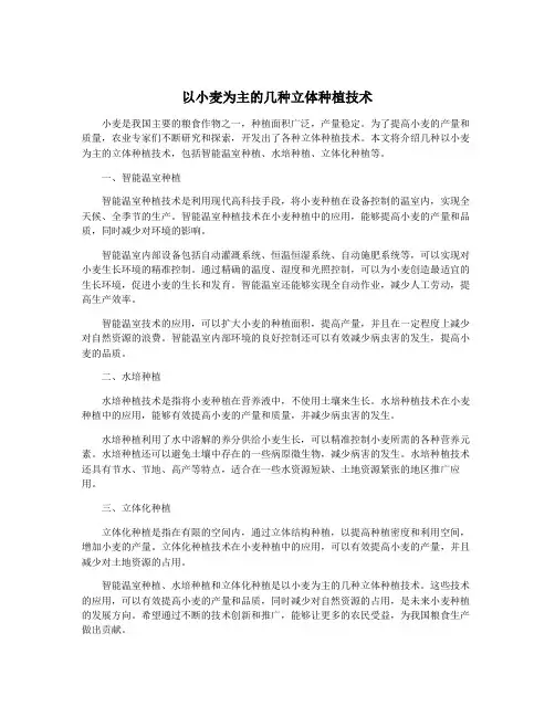 以小麦为主的几种立体种植技术