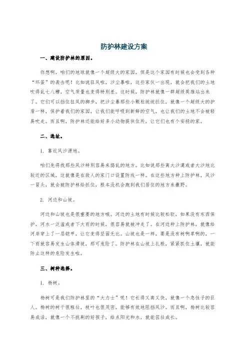 防护林建设方案
