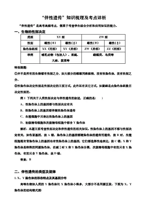 “伴性遗传”知识梳理及考点详析