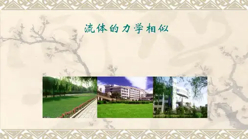高二物理竞赛课件：流体的力学相似(共13张PPT)