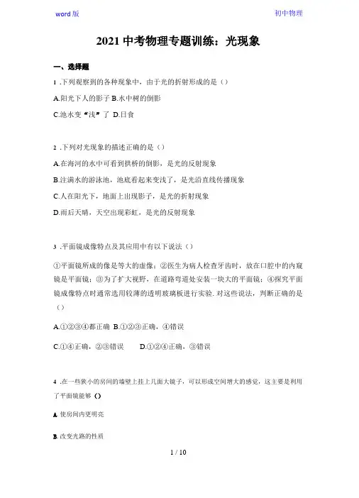 2021中考物理专题训练：光现象含答案