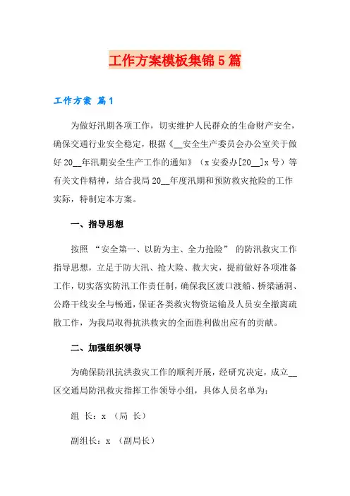 (word版)工作方案模板集锦5篇