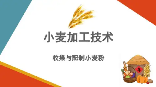 小麦粉后处理操作—收集与配制小麦粉