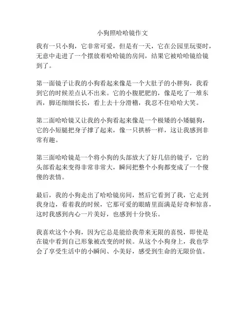 小狗照哈哈镜作文