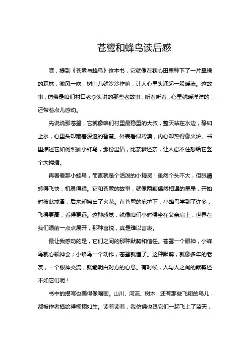 苍鹭和蜂鸟读后感