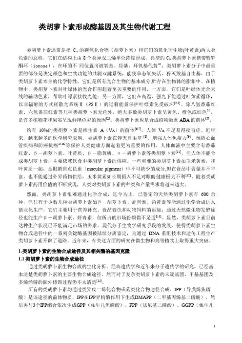类胡萝卜素形成酶基因及其生物代谢工程