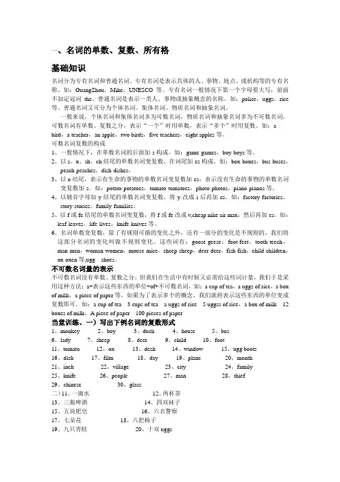 名词单复数及所有格