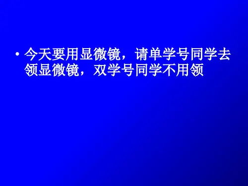 实验4 药物体外抗菌试验_PPT幻灯片