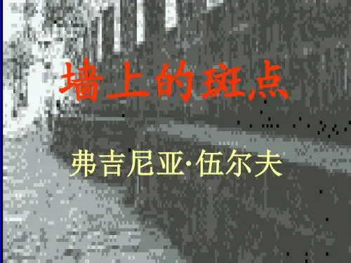墙上的斑点