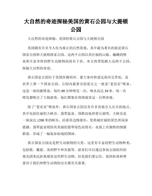 大自然的奇迹探秘美国的黄石公园与大提顿公园