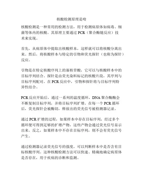 核酸检测原理是啥