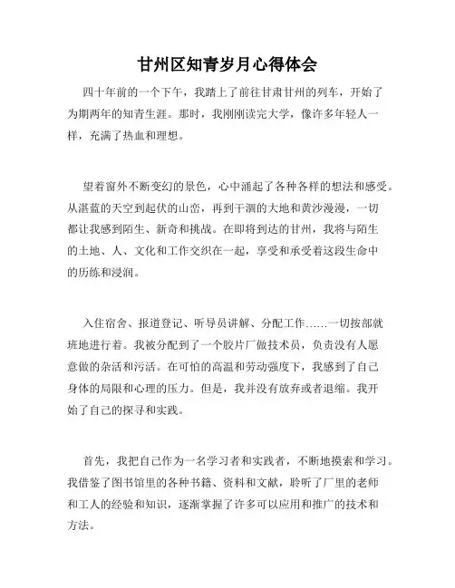 甘州区知青岁月心得体会