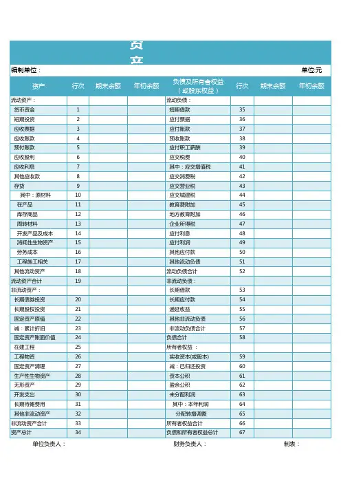 公司资产负债表格