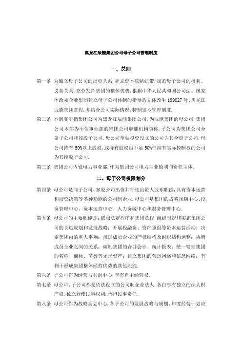 黑龙江辰能集团公司母子公司管理规定