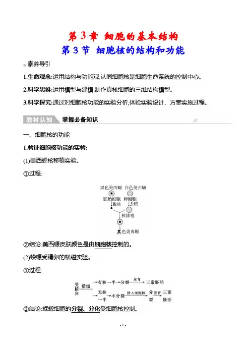 人教生物必修1教案：3-3 细胞核的结构和功能