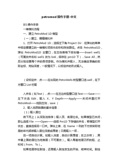 petromod操作手册-中文