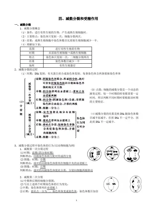 高三生物一轮复习精品教案——减数分裂