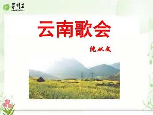 《云南的歌会》PPT课件7