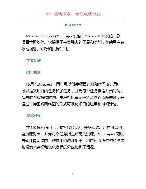 ms project