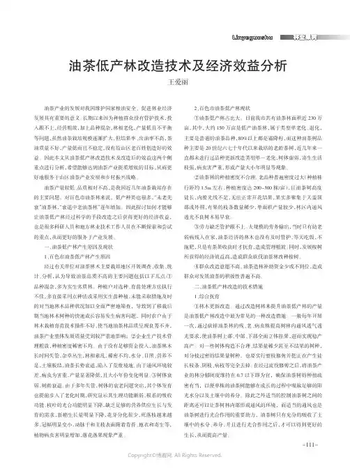 油茶低产林改造技术及经济效益分析