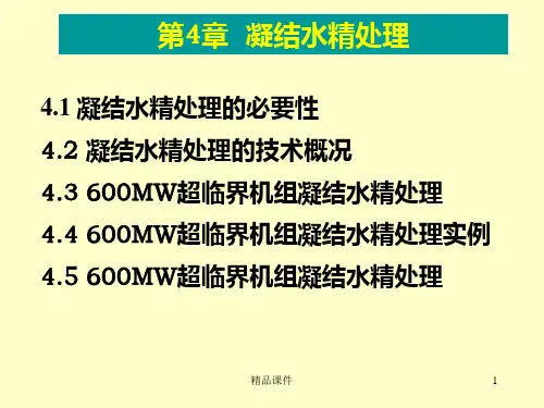 凝结水精处理