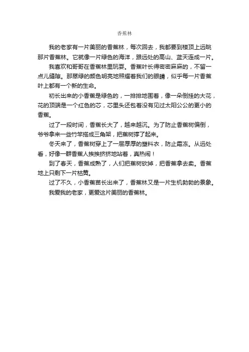 香蕉林_作文300字_初一散文_