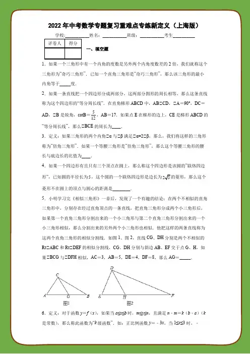 2022年中考数学专题复习重难点专练新定义(上海版)