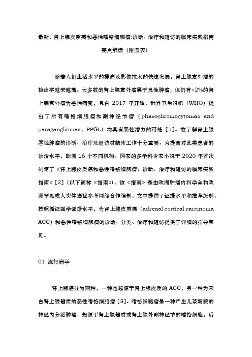 2024肾上腺皮质癌和恶性嗜铬细胞瘤诊断、治疗和随访的临床实践指南(完整版)