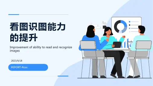 2023年迅速提高看图识图能力报告模板