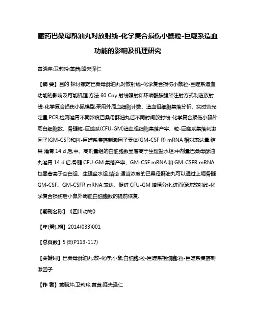 藏药巴桑母酥油丸对放射线-化学复合损伤小鼠粒-巨噬系造血功能的影响及机理研究