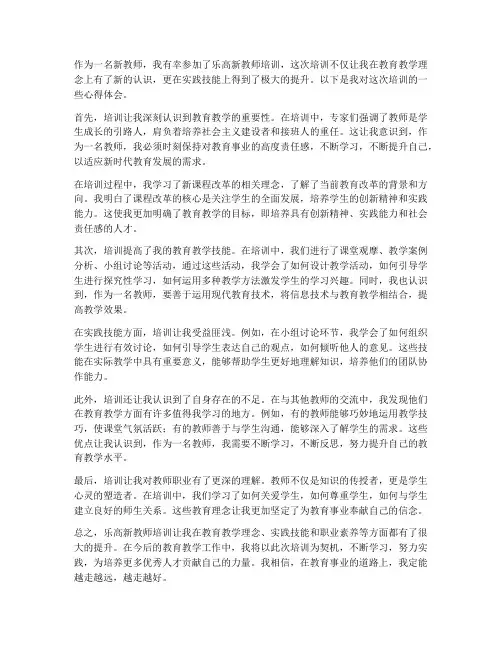 乐高新教师培训心得体会