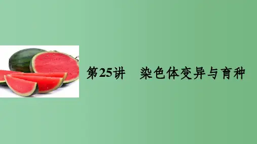 高考生物一轮复习 第七单元 生物的变异、育种和进化 第25讲 染色体变异与育种 新人教版