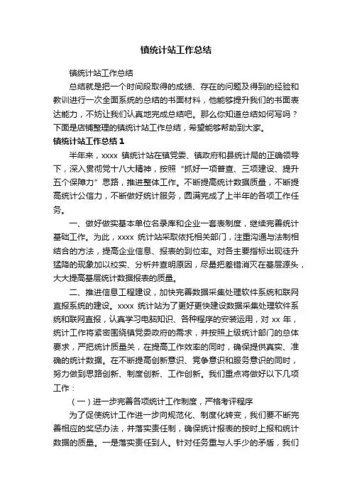 镇统计站工作总结