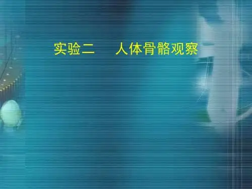 第二次实验 人体骨骼观察201203