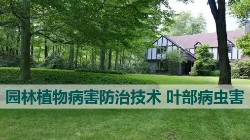 园林植物病害防治技术 叶部病虫害