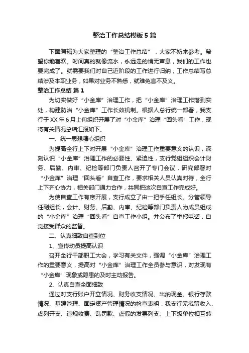 整治工作总结模板5篇