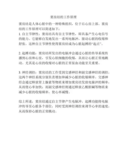 窦房结的工作原理