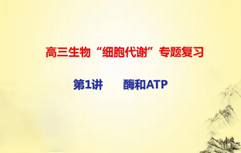 高三生物“细胞代谢”专题复习：第1讲 酶和ATP
