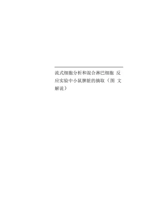 流式细胞研究分析和混合淋巴细胞反应实验中小鼠脾脏的摘取(图文解说)