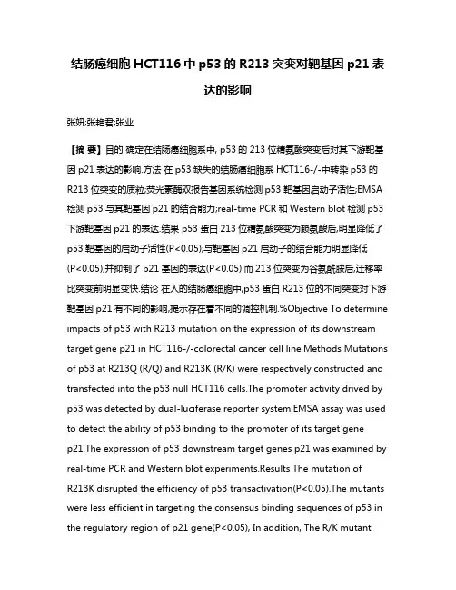 结肠癌细胞HCT116中p53的R213突变对靶基因p21表达的影响