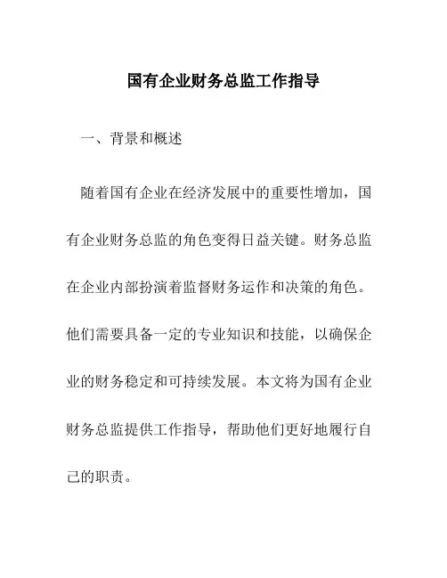 国有企业财务总监工作指导