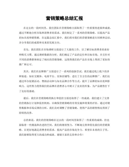 营销策略总结汇报