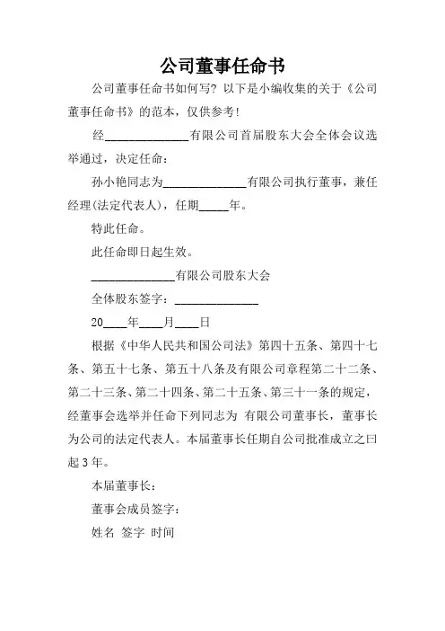 公司董事任命书