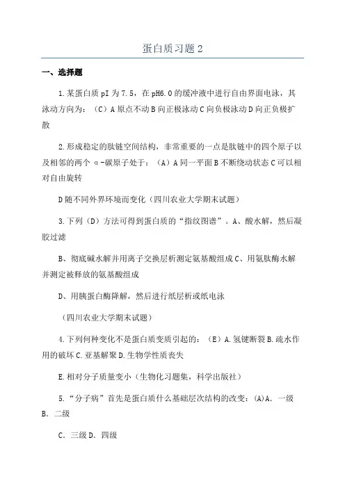 蛋白质习题2