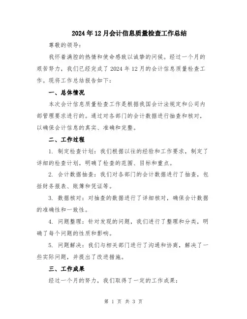 2024年12月会计信息质量检查工作总结