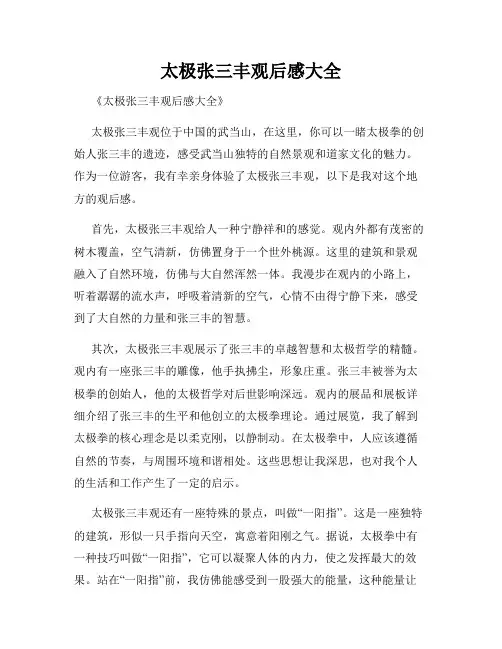 太极张三丰观后感大全