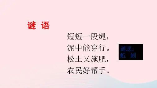 三年级科学上册2.4《蚯蚓》课件(6)教科版