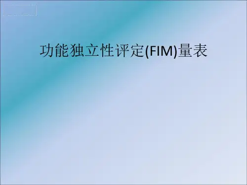 功能独立性评定