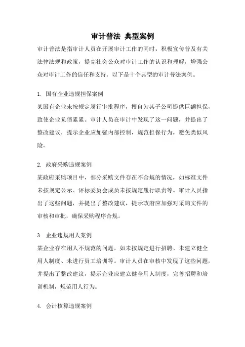 审计普法 典型案例
